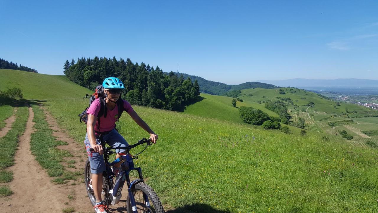 Gaestehaus Casa Luna - Paradiesische Ferienwohnungen Am Kaiserstuhl! Bischoffingen Екстер'єр фото