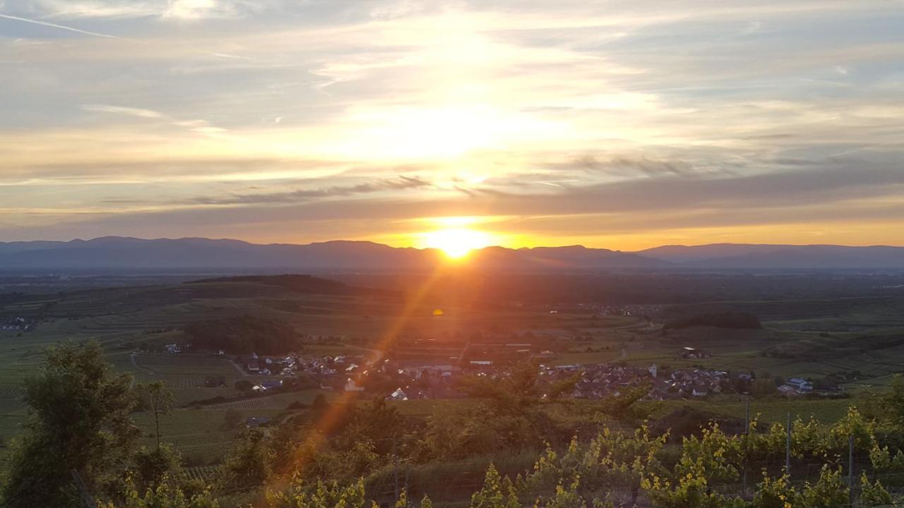 Gaestehaus Casa Luna - Paradiesische Ferienwohnungen Am Kaiserstuhl! Bischoffingen Екстер'єр фото