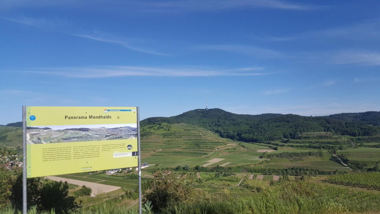 Gaestehaus Casa Luna - Paradiesische Ferienwohnungen Am Kaiserstuhl! Bischoffingen Екстер'єр фото