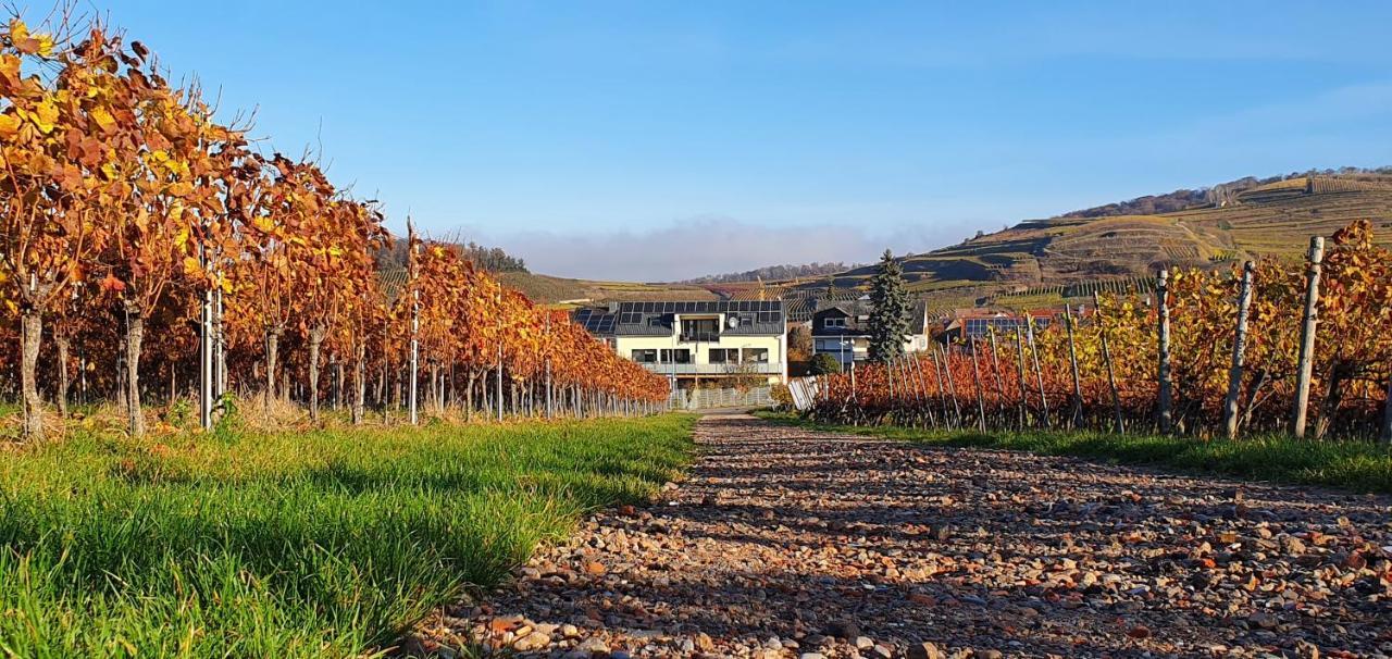 Gaestehaus Casa Luna - Paradiesische Ferienwohnungen Am Kaiserstuhl! Bischoffingen Екстер'єр фото