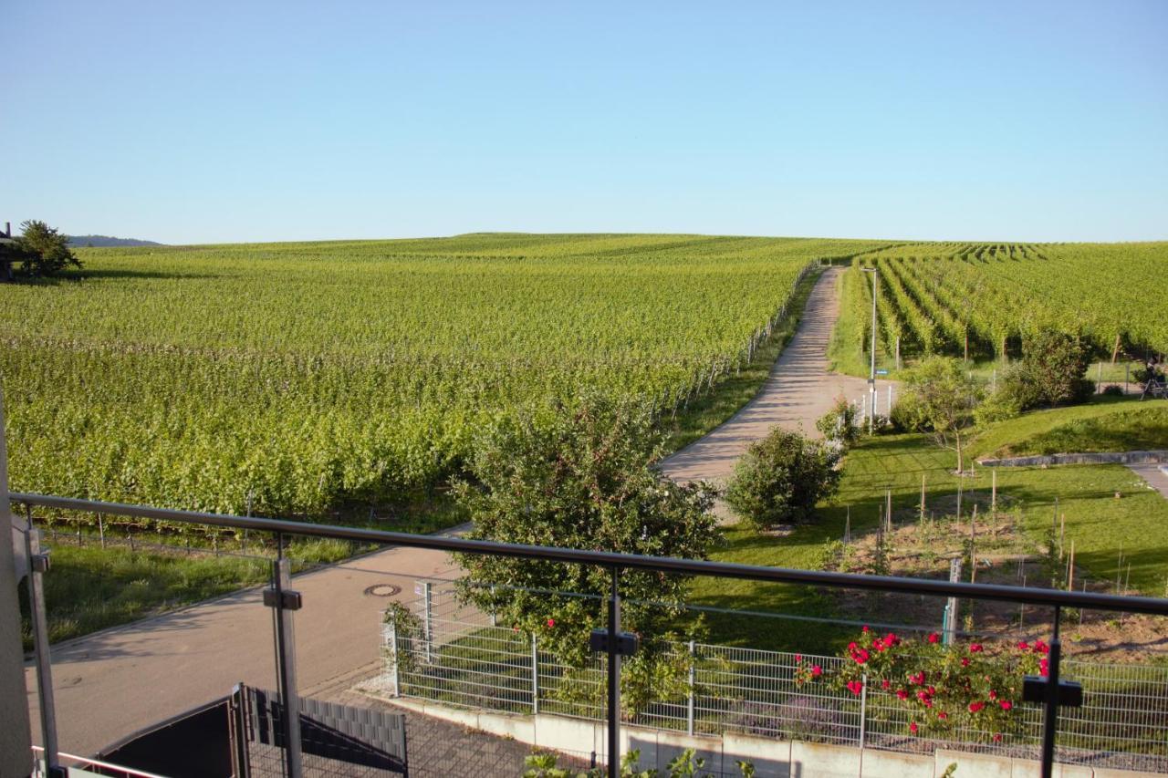 Gaestehaus Casa Luna - Paradiesische Ferienwohnungen Am Kaiserstuhl! Bischoffingen Екстер'єр фото