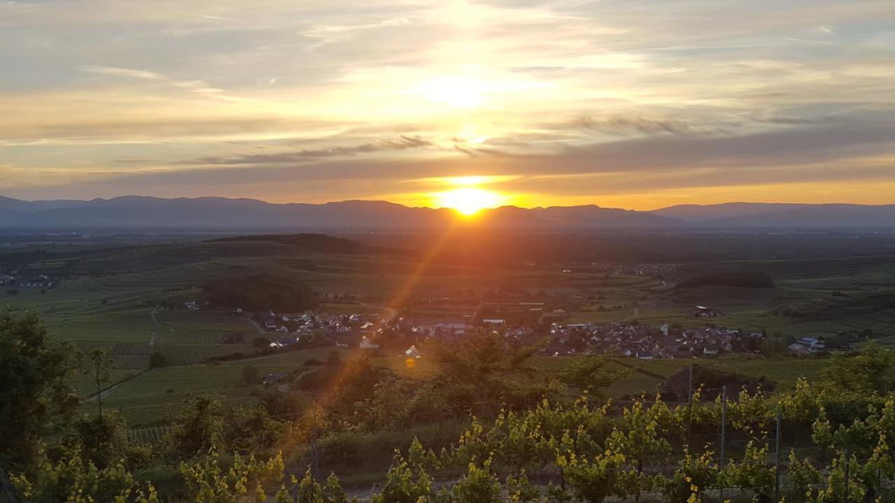 Gaestehaus Casa Luna - Paradiesische Ferienwohnungen Am Kaiserstuhl! Bischoffingen Екстер'єр фото