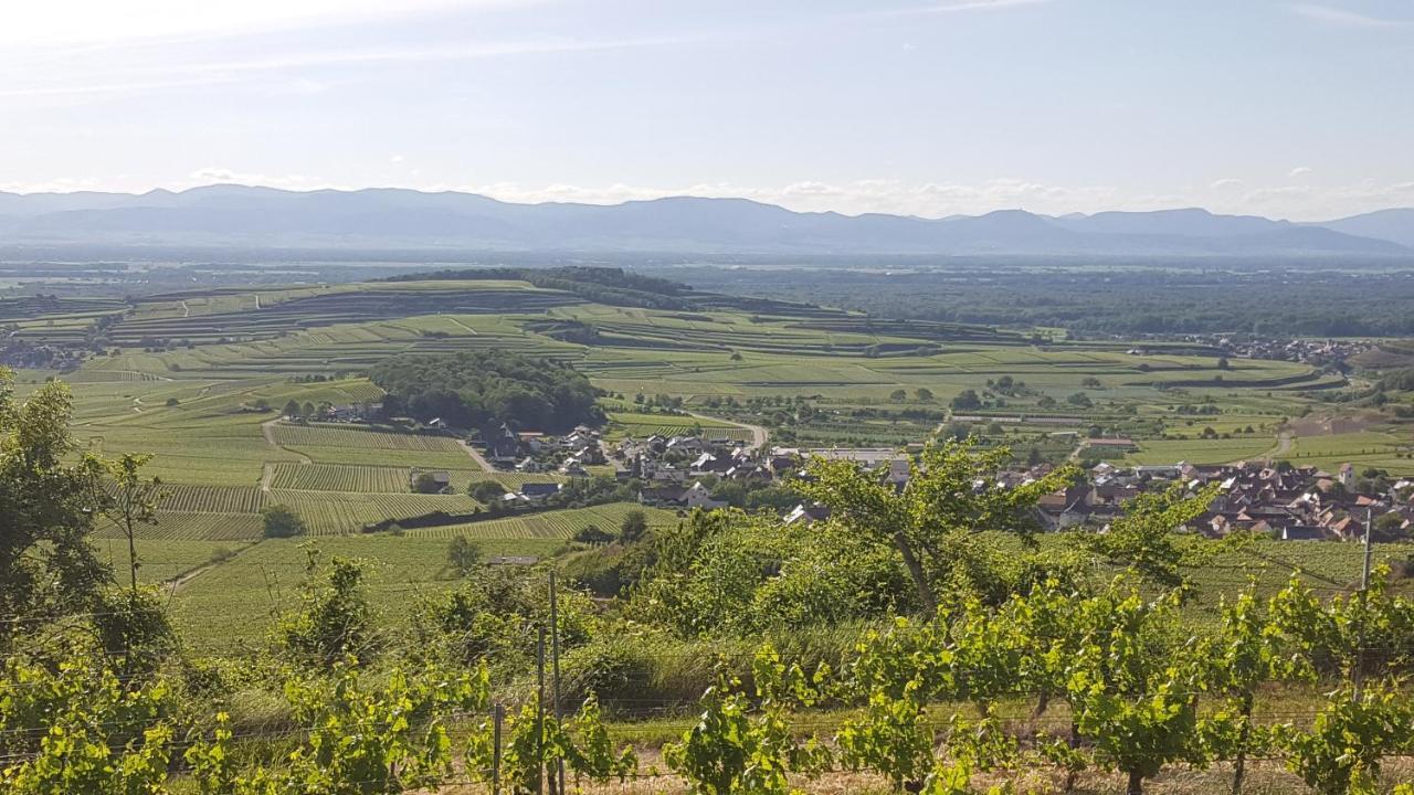 Gaestehaus Casa Luna - Paradiesische Ferienwohnungen Am Kaiserstuhl! Bischoffingen Екстер'єр фото