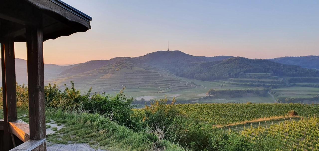 Gaestehaus Casa Luna - Paradiesische Ferienwohnungen Am Kaiserstuhl! Bischoffingen Екстер'єр фото