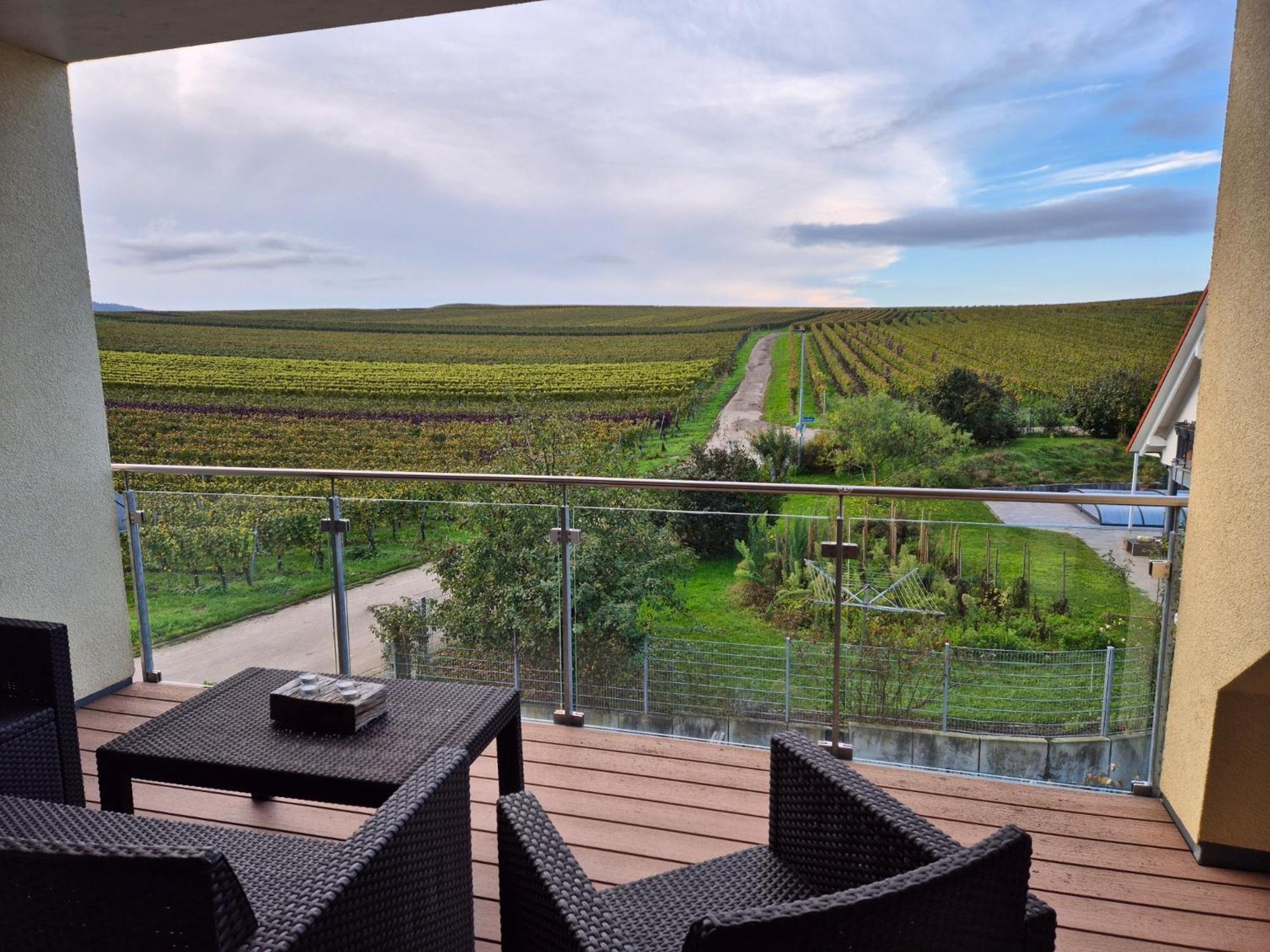 Gaestehaus Casa Luna - Paradiesische Ferienwohnungen Am Kaiserstuhl! Bischoffingen Екстер'єр фото